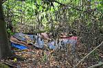 A murder took place in these places.  Homeless people gather and sleep in the forest.