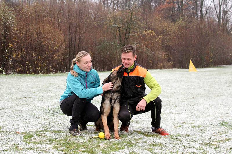 O čtyřnohé šampiony se spolu s Martinem Uřičařem stará i jeho přítelkyně Ludmila Morrison.