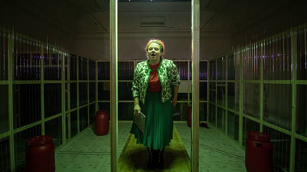 Divadlo Petra Bezruče (dpb) pořádá divadelní představení Stará láska nerezaví v Galerie výtvarného umění (GVUO), 12. května 2022 v Ostravě.