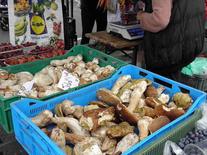 Na farmářských trzích u ostravského nákupního centra Futurum byly v sobotu 18. července k mání i hřiby. Kilo za 300.