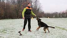 Pravidelný výcvik Martina Uřičaře a tříletého německého ovčáka Izzyho nenaruší ani nepřízeň počasí.