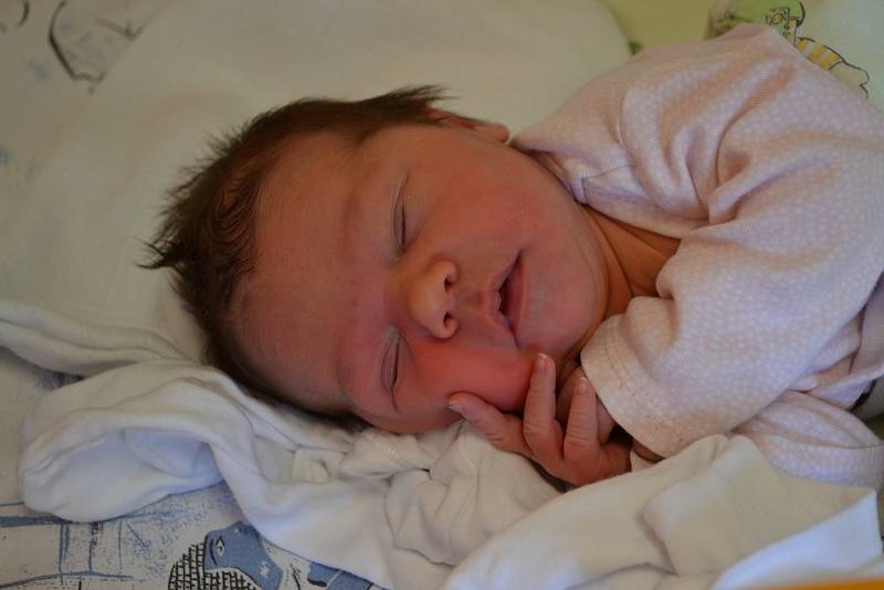 Anna Prokešová, 1. 6. 2019, 50 cm, 3530 g, Ostrava – Výškovice. Vítkovická nemocnice Ostrava.