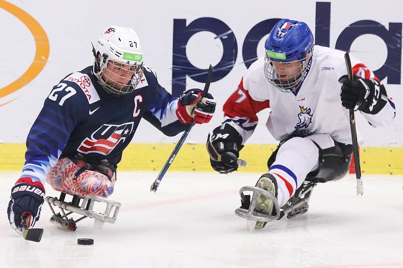 Mistrovství světa v para hokeji 2019, 3. května 2019 v Ostravě. Na snímku (zleva) Pauls Josh (USA), Palat David (CZE).