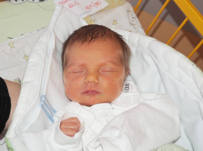 Elis Mazurková, 24. 2. 2019, 48 cm, 2835 g, Bohumín. Fakultní nemocnice Ostrava.