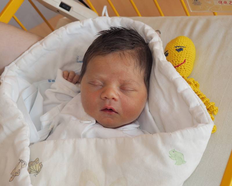 Evička Tesařová, 9.9.2019, 3680g, Suchdol nad Odrou