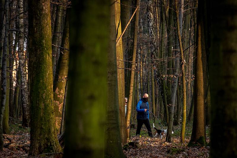 Lidé v rouškách na procházce v Bělském lese v Ostravě, 28. března 2020