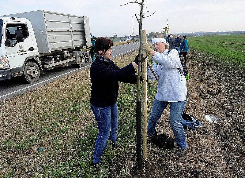 Ostrava se zapojila do rekordu v sázení stromů. Ve Svinově úředníci vlastnoručně vysadili sto lip.