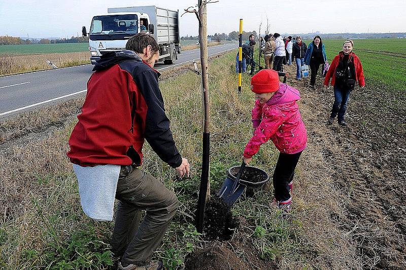 Ostrava se zapojila do rekordu v sázení stromů. Ve Svinově úředníci vlastnoručně vysadili sto lip.