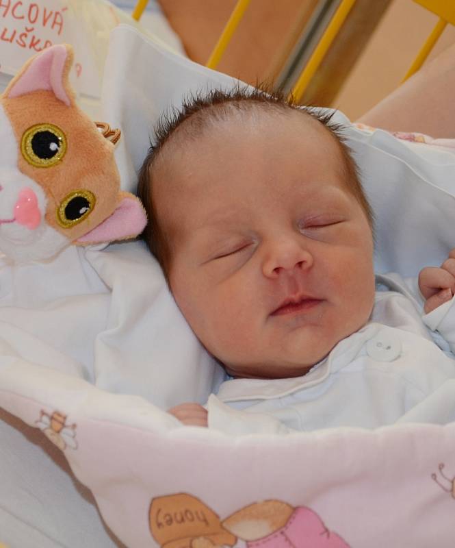 Eliška Krnáčová, 6. 5. 2017, 2970 g, 49 cm, Rožnov pod Radhoštěm. Fakultní nemocnice Ostrava. 