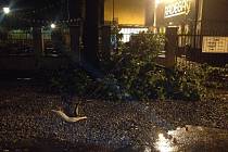 Následky noční bouřky. Spadlý strom u restaurace Spolek v Ostravě.