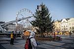 Prasklý vánoční strom na Masarykově náměstí, 8. prosince 2021 v Ostravě.