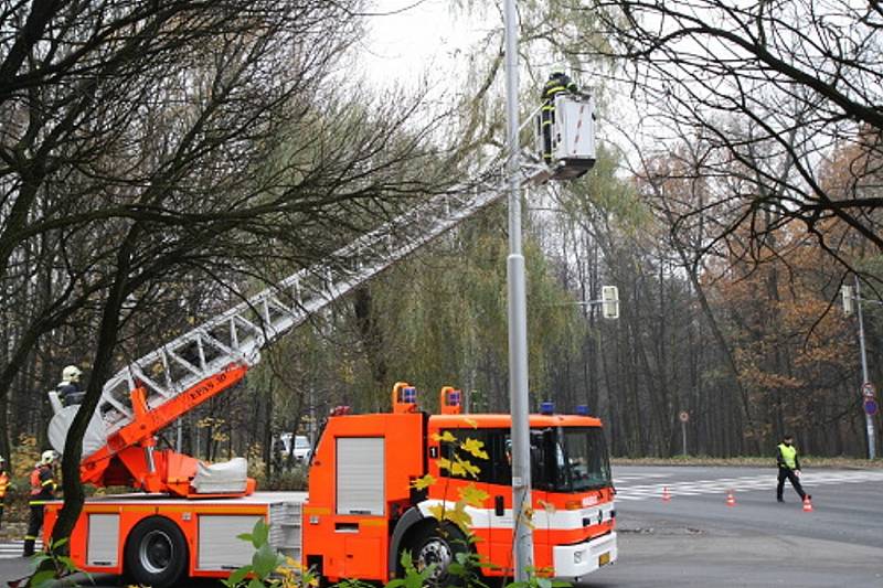 Vrbu, jejíž větve hrozily pádem, ořezávali v úterý dopoledne ostravští hasiči. Zasahovali u křižovatky ulic Plzeňské a U lesa nedaleko radnice v městské části Ostrava-Jih. 