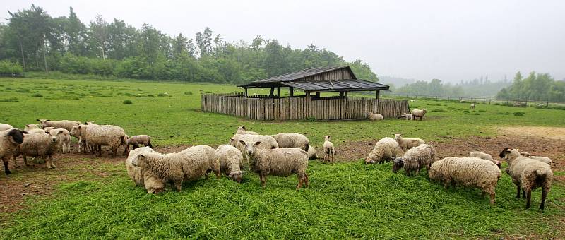 Společnost Vítkovská zemědělská s.r.o. se zabývá ekologickým zemědělstvím.