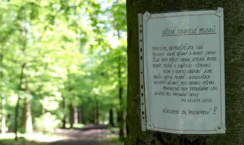 Anonymní milovník přírody v lese zvaném Osošník mezi ostravskými obvody Porubou a Plesnou upozorňuje pejskaře, aby byli ohleduplnější.