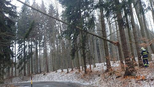 Odstraňování spadlých stromů - Rýmařovsko