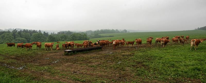 Společnost Vítkovská zemědělská s.r.o. se zabývá ekologickým zemědělstvím.