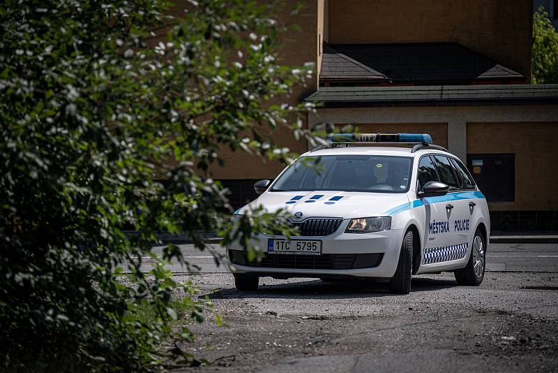 Policisté se strážníky pátrají po ztraceném krokodýlovi v okolí ulice Závodní, 26. července 2021 v Ostravě-Hrabůvce.