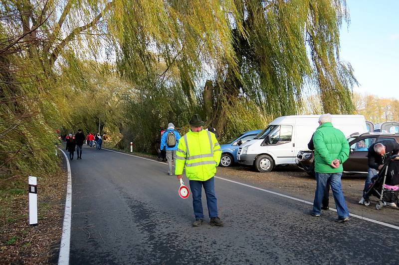 O víkendu se uskutečnil výlov největšího rybníka v Moravskoslezském kraji Bezruč. Událost je každoročně vyhledávanou podívanou.