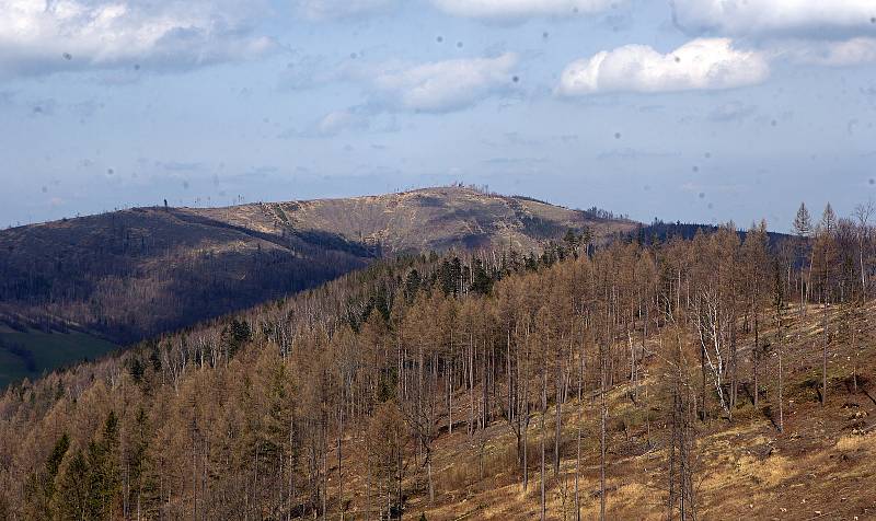 Holiny v Jeseníkách. Co nesežere kůrovec, to povalí vichřice. Ilustrační foto.