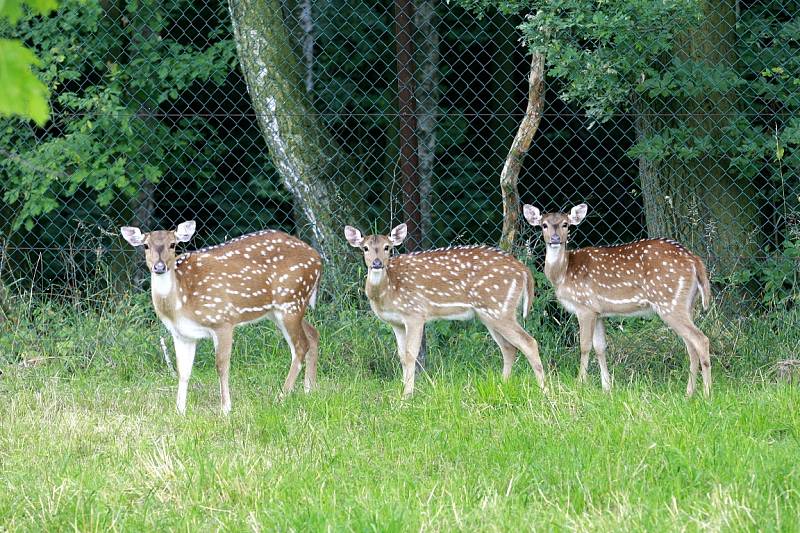 Zoo Ostrava.