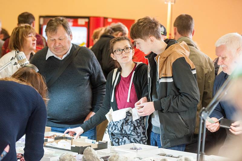 Mineralogická burza, spojená s výstavou přírodnin, fosilií a šperků na VŠB v Ostravě.