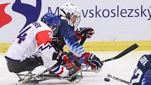 Mistrovství světa v para hokeji 2019, 3. května 2019 v Ostravě. Na snímku (zleva) Safranek Zdenek (CZE), Farmer Declan (USA).