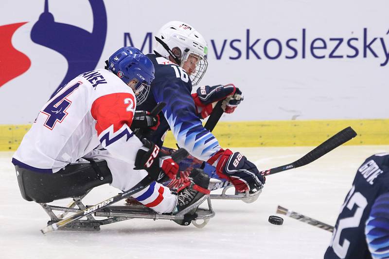 Mistrovství světa v para hokeji 2019, 3. května 2019 v Ostravě. Na snímku (zleva) Safranek Zdenek (CZE), Farmer Declan (USA).