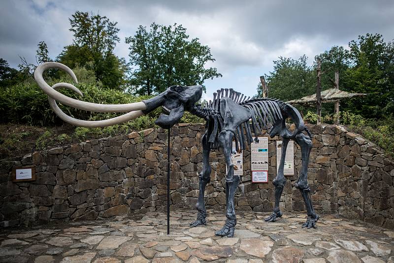 Představení kosterního modelu mamuta srstnatého v Zoologické zahradě Ostrava 15. srpna 2018.