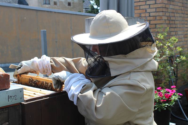 Dříve se neřešila otázka léčení včel, říká opavská včelařka Michaela Štěpáníková