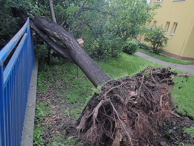 Následky bouře a silného větru, které v noci na středu zaměstnávaly moravskoslezské hasiče v Ostravě.