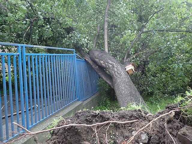 Následky bouře a silného větru, které v noci na středu zaměstnávaly moravskoslezské hasiče v Ostravě.