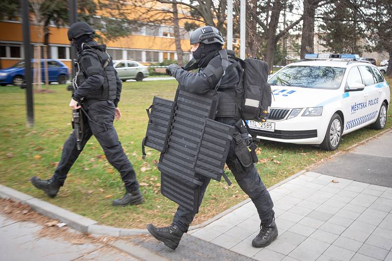 Zásah policejních složek v rizikových situacích. Ilustrační foto.