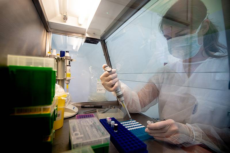 Testování koronaviru v Ostravě, laboratoř AGELLAB. Ilustrační foto.