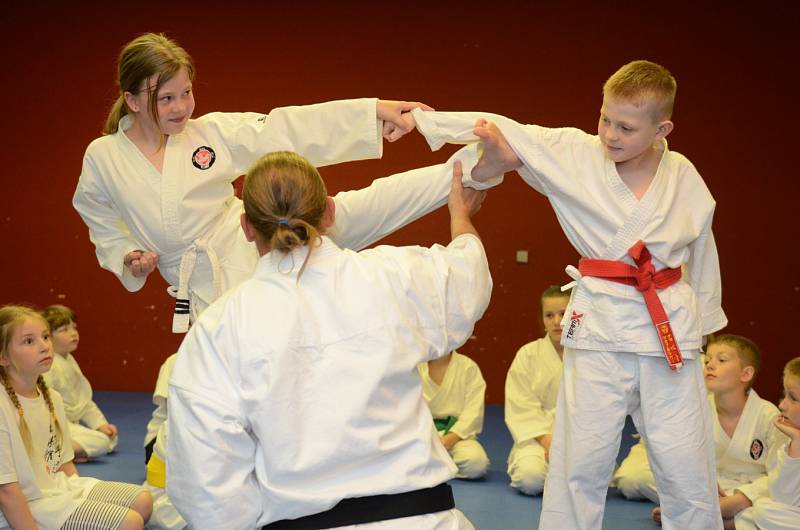 Karatistického semináře Silesia Gasshuku 2017 v Jeseníkách, se první červnový víkend zúčastnil také drobný osmasedmdesátiletý Shihana Masarua Miury, velmistr karate, který pocházejí ze staré japonské samurajské rodiny.