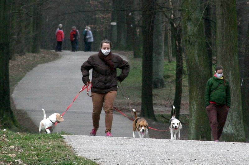 JIH znamená Hrabůvku, Dubinu, Bělský Les, Výškovice a Zábřeh, podívejte se, jaké jsou dopady koronavirové nákazy tady.