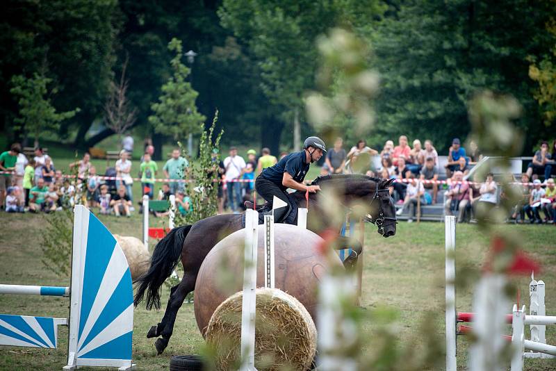 XXI. mezinárodní setkání jízdních policií v Komenském sadě, 1. září 2018 v Ostravě.