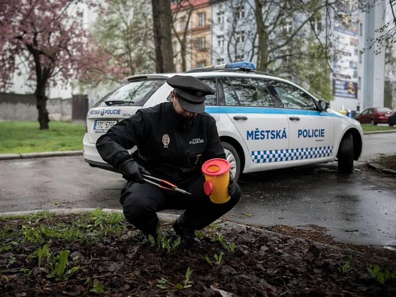 Do celorepublikové Akce Jehla 2017 se opět zapojila i Městská policie Ostrava.