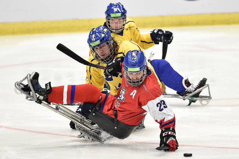 Mistrovství světa v para hokeji 2019, Švédsko - Česká republika, 28 dubna 2019 v Ostravě.