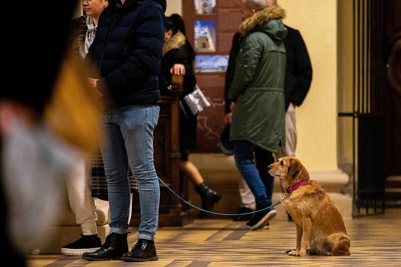 Půlnoční pontifikální mše svatá v katedrále Božského Spasitele v Ostravě.