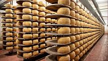 Tradiční sklad sýrů společnosti Gran Moravia, 11. srpna 2021 v Bevadoro, Itálie. Kapacita skladu je až 10000 bochníků sýrů.