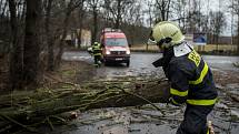 Hasiči odstraňovali spadlý strom u Slezskoostravského hradu, 10. února 2020 v Ostravě.