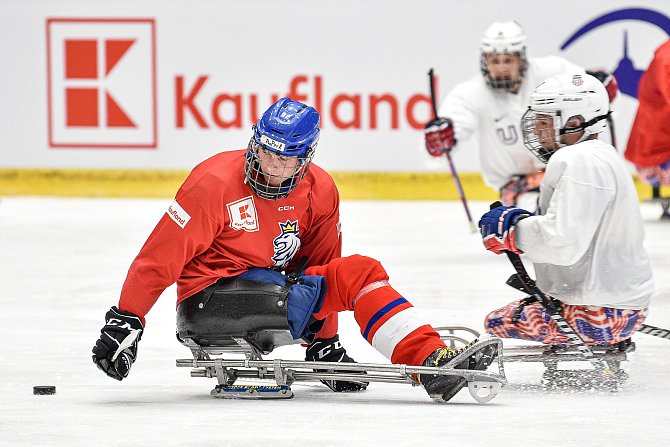 Čeští para hokejisté postoupili na MS do semifinále. Ilustrační snímek