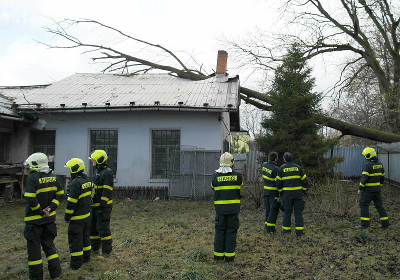 Novoveská ulice v Ostravě, kde strom spadl na dům. 17. února 2022.