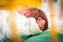 Dvojčátka se za červenec ve Fakultní nemocnici Ostrava narodila šestnáctkrát.