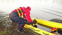 Dvě vozidla hasičů ze stanice v Zábřehu v pondělí ráno vyrazila plně vybavená gumovým člunem a záchrannými saněmi ke svinovskému rybníku Rojek. Cvičili tady záchranu tonoucího.