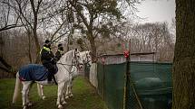 Koně využívají strážníci i při kontrolách v zahrádkářských a chatových koloniích, prosinec 2020, Ostrava-Třebovice.