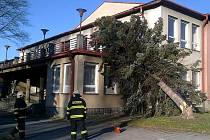 Během nedávných vánočních svátků na kulturní dům spadl strom. Stalo se tak následkem vichru, který ve Frenštátě pod Radhoštěm napáchal nemalé škody.