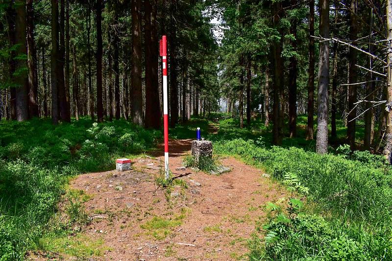 Z turistické procházky po beskydských kopcích z Bílého Kříže na Malý Polom.