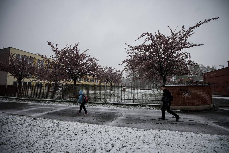 Ostravu v noci z 18. na 19. dubna zasáhlo slabé sněžení.