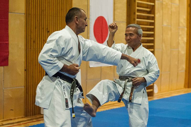 Karatistického semináře Silesia Gasshuku 2017 v Jeseníkách, se první červnový víkend zúčastnil také drobný osmasedmdesátiletý Shihana Masarua Miury, velmistr karate, který pocházejí ze staré japonské samurajské rodiny.